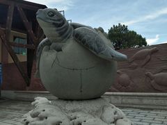 -广东惠东海龟国家级自然保护区