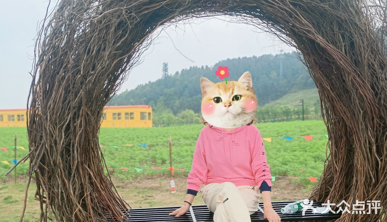 径山花海