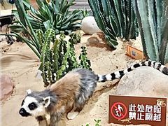 -松江科技馆