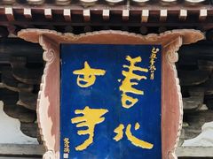 -善化寺