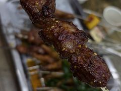 -海波肉串(金顶山大街店)