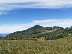 -白草畔自然风景区