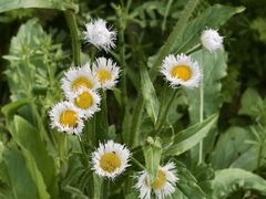 -上海滨江森林公园