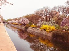 -元大都城垣遗址公园