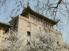 -武汉大学-樱园