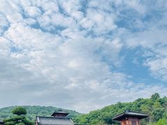 -习家池