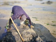 -北海金海湾红树林生态旅游区