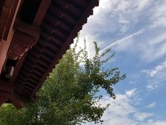 -武昌江滩