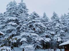 -峨眉山风景名胜区