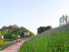 -石井坡(地铁站)