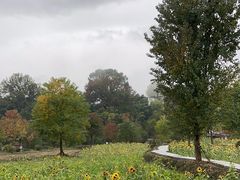 -塔川景区