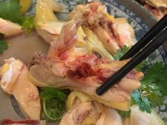 -九斤黄三黄鸡专卖店