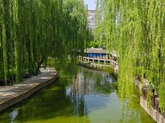 -团结湖公园