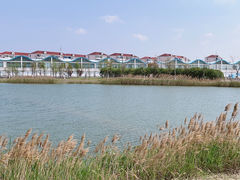-鹦鹉洲湿地公园