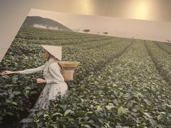 -奈雪的茶(优特汇店)
