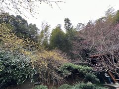 -杭州植物园