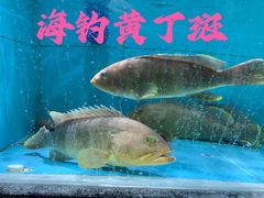 -欧记·龙城港(欣都店)