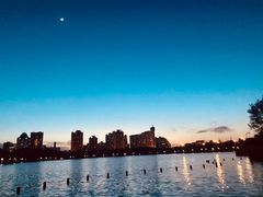 -莲花池公园