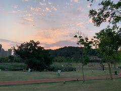 -牛岗山公园
