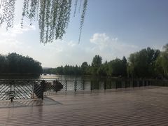 -宝鸡植物园