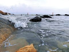 -广东惠东海龟国家级自然保护区
