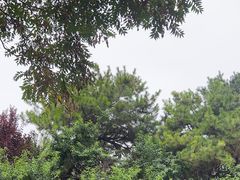 -团结湖公园