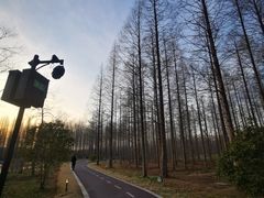 -黄海国家森林公园