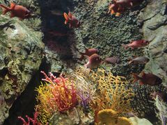 -太平洋海底世界