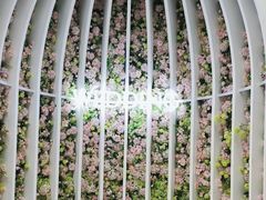 -同庆楼(花园店)