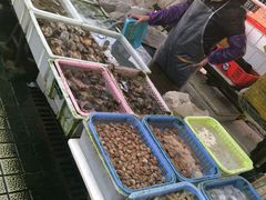 -大湾区中央湿地公园-十九涌