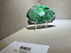 -陕西自然博物馆