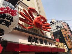 -蟹道乐(道顿堀本店)