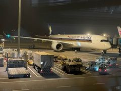 -新加坡航空公司(ION)