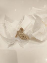 -奈尔宝家庭中心·儿童乐园·亲子餐厅(苏州大悦城店)