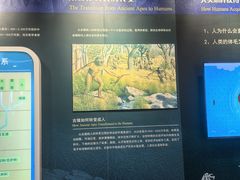 -国家自然博物馆