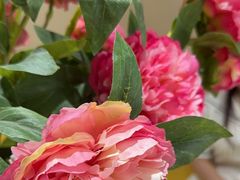 -宫事颐庭·老佛爷贵寿下午茶(颐和园店)