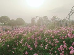-尚贤河湿地