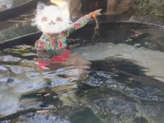 -融汇温泉