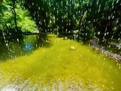 -亚龙湾国际玫瑰谷