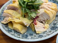 -九斤黄三黄鸡专卖店