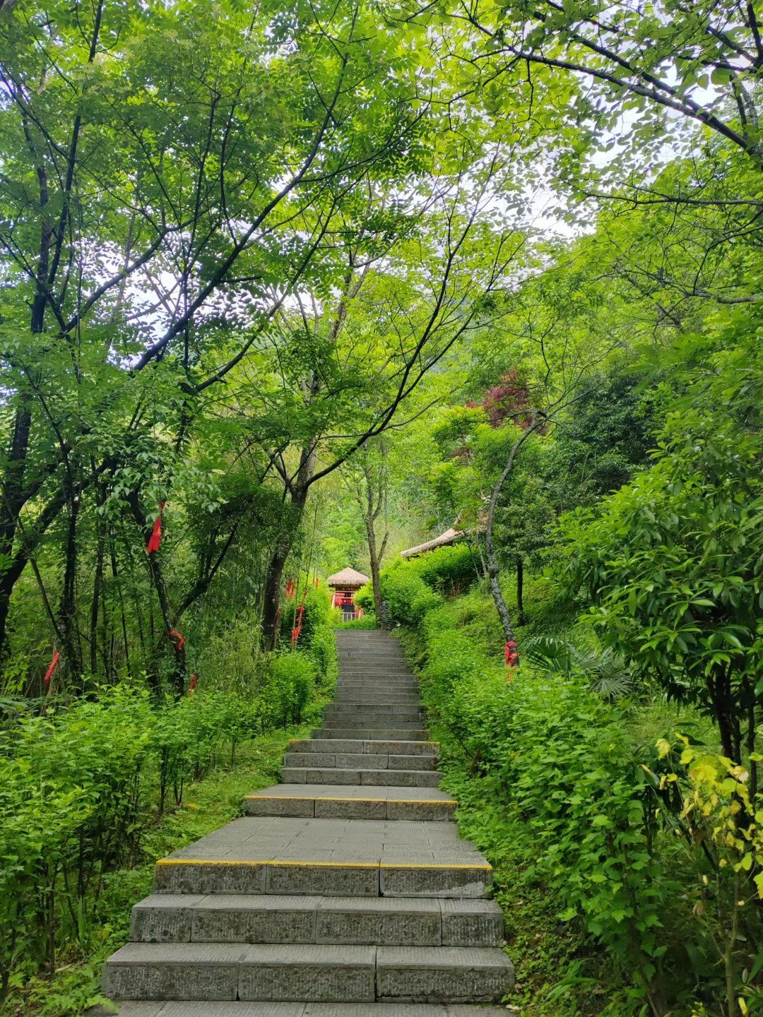 曲径通幽的山间路