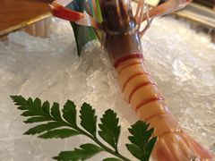 -Mr.Fish鱼鲜生海鲜放题(高德置地冬广场店)
