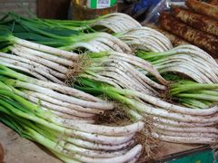 -大观篆新农贸市场