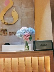 -栖SPA·ONDA ·海菲秀·皑皑科技美肤中心