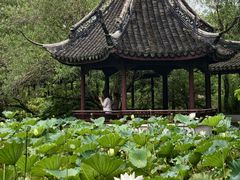 -上海醉白池公园