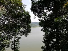 -美的鹭湖森林度假区