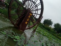 -茯茶镇
