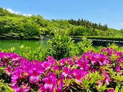 -达蓬山旅游度假区