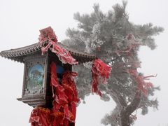 -泰山风景名胜区