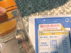-烟台海昌鲸鲨海洋公园
